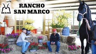 Rancho San Marco "RSM" - Caballos Frisones