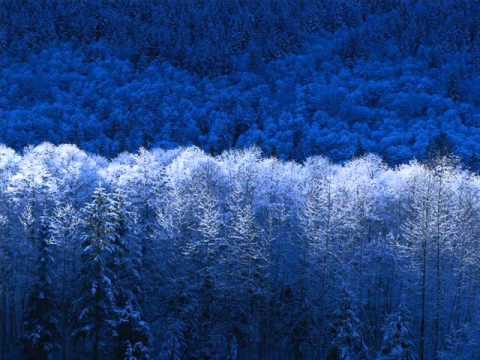 NTOMBI MARHUMBINI WUSIWANA