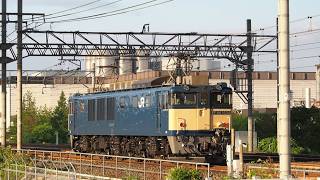 2019年6月 EF64形 1000番台 電気機関車 EF65形 電気機関車 貨物列車 JR貨物 JR西日本 東海道本線 JR京都線