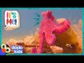 Meet A Bunch Of Goofy Animals Who Are Best Friends With Humans! | 30 Minutes Of Animals | Dodo Kids