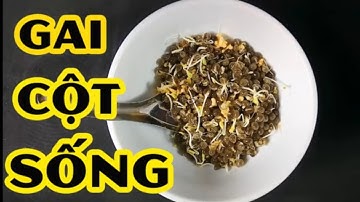 Trị tận gốc bệnh gai cột sống, thoái hóa cột sống chỉ bằng 1 quả đu đủ [Chữa bệnh gai cột sống]