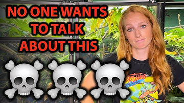 How to deal with the death of a chameleon