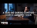 Marco Antonio Solís - A Que Me Quedo Contigo (Visualizer)