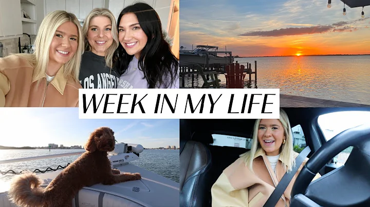 week in my life in tampa: going to my fav spots, h...