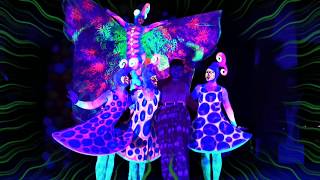 The Mushroom Garden Uv Stage Performance Watch In Hd