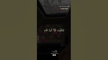 سورة يونس⛅💕القارئ عبدالرحمن مسعد#تلاوة_خاشعة #تلاوة_هادئة #عبدالرحمن_مسعد #قران_كريم #المصحف