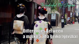 Differences Between Maiko And Geisha  japanese maiko geisha geiko awaodori 