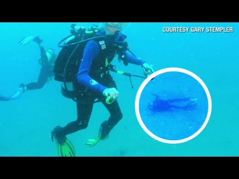 CNN: Honeymoon death revisited