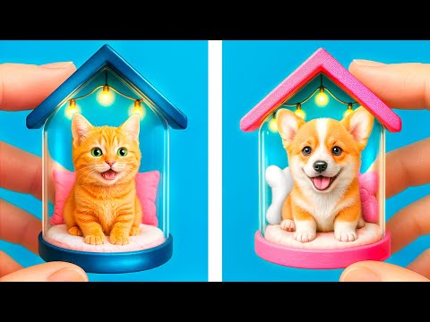 ہم نے Pets کے لیے Tiny House بنایا! اپنے Pets کی دیکھ بھال کیسے کریں!