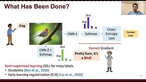 Contrastive Learning Improves Model Robustness Under Label Noise
