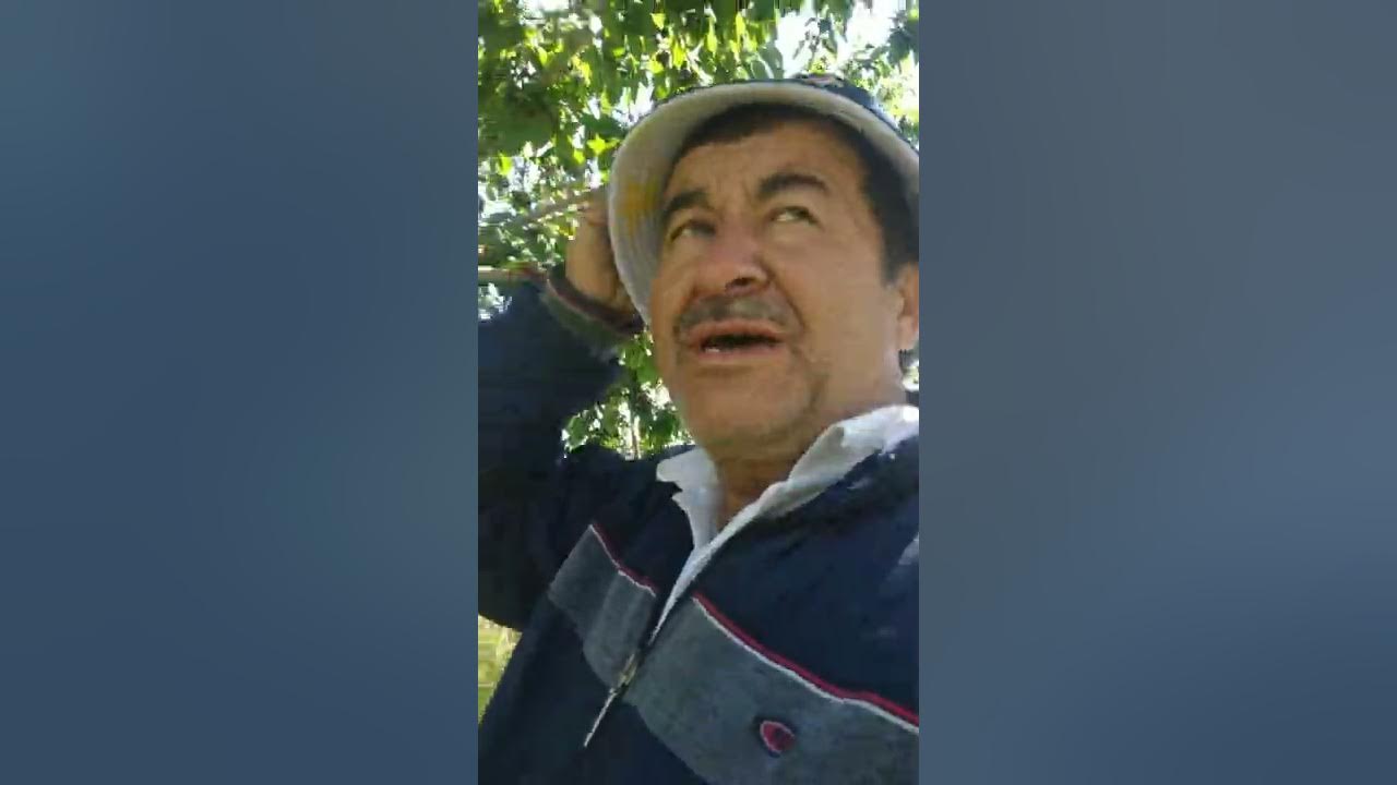 Бобонов андрей михайлович. Психотерапевт бобонов. Вова бобонов одноклассники. Бобонов андрей михайлович. Сологуб максим борисович психотерапевт, психиатр.