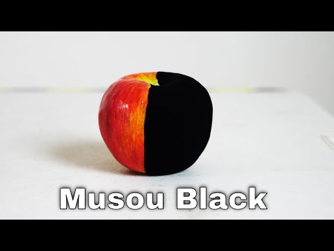 Musou Black?The (New) World's Blackest Paint Turns Anything Into A Shadow