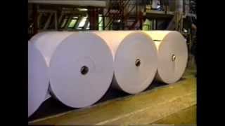 Easy Mover Rollers Paper Reel