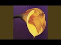 Swans - The Burning World