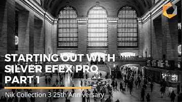 The Basics of Starting Out With Silver Efex Pro — Part 1