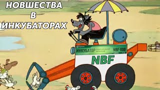 Новшества в инкубаторах NBF.