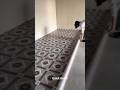 PVC Floor Tiles 😍 Self Adhesive PVC Flooring Sheet #shorts #gadgets
