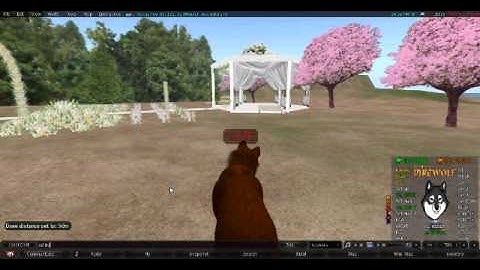 Second Life: Reduce Lag [draw distance]