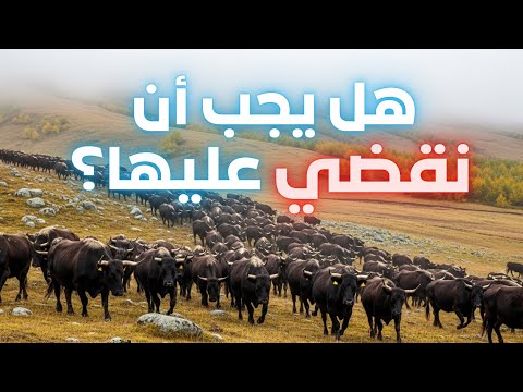 أبقار شيريكوف المتوحشة القطيع الذي نسيه الإنسان