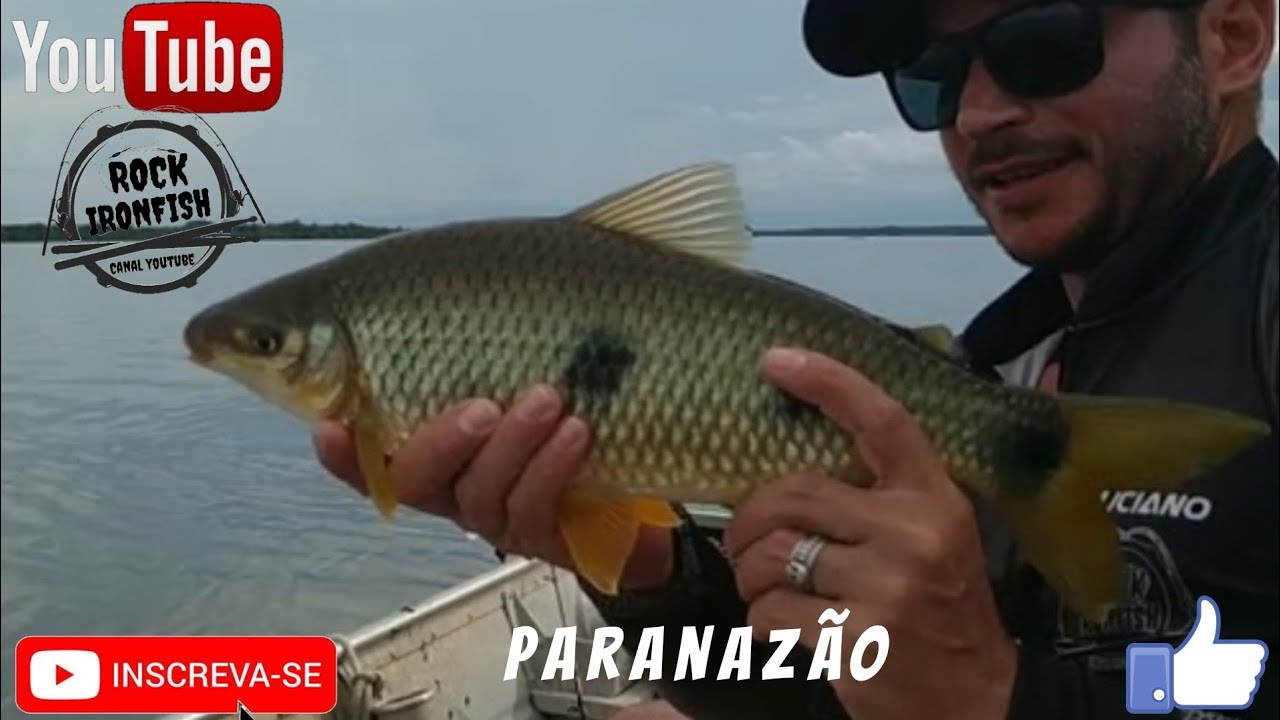 Pescaria de Piapara Paranazão 2020 Será que tem peixe??? YouTube Pescaria de Piapara Paranazão 2020 Será que tem peixe??? YouTube