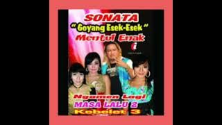 Full album Sonata-Goyang esek-esek