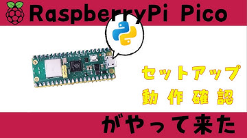 【買ったらやる事】RaspberryPi PikoW 初期設定 動作確認