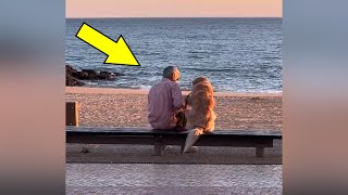 Женщина заметила на пляже мужчину с собакой — то, что они делали, растрогало миллионы людей