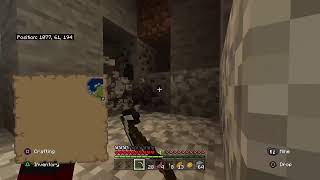 New Spawn (last one was garbage) |Minecraft