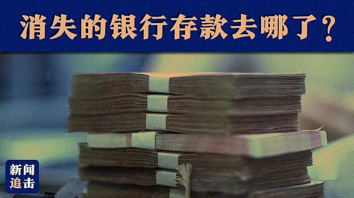 消失的银行存款去哪了？| 新闻追击 - 天天要闻