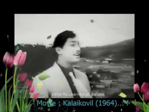 TAMIL OLD SONG  Naan unnai serntha selvamvMv  KALAIKOVIL