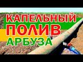 Запуск системы капельного полива 💦 🌱🍉 15 05 21