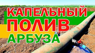 Запуск системы капельного полива 💦 🌱🍉 15 05 21