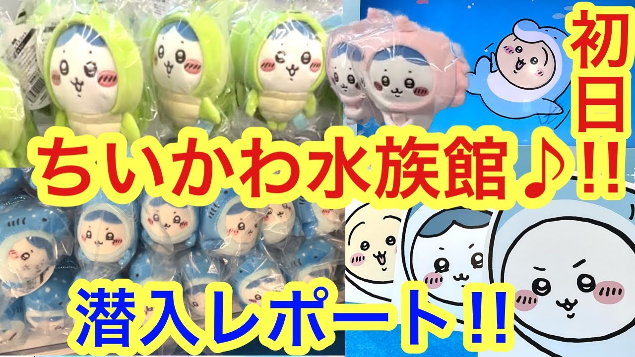 ちいかわ】ちいかわ水族館第2弾！！初日に潜入レポート＾＾ちい