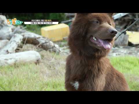 [Pre-release] [There Are No Bad Dogs] The Pride of Our Town, Jeongeup Bulgae