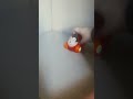 eu vou dirigir