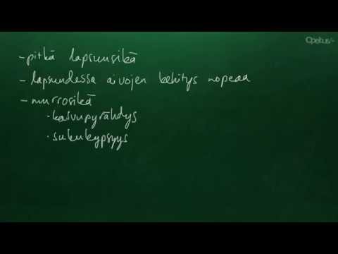 Video: Ihmisen Typologia (