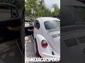 Vw Vocho #vocho #vochomx #fuscabrasil #escarabajo #vwsedan #volkswagen #Vwlifestyle #vwoval #porsche