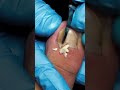 Cute nails satisfying pedicure #nails#satisfying#pedicure