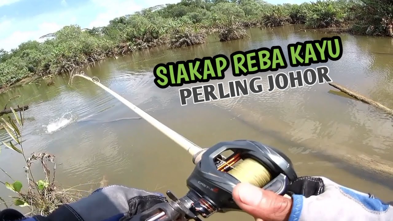MERANDUK SPOT SIAKAP REBA PERLING JOHOR