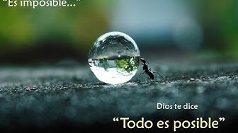 Reflexiones Para Ti y Para Mi - YouTube