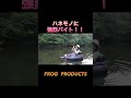 ヤバいと言い過ぎの強烈バイト！！すみません！