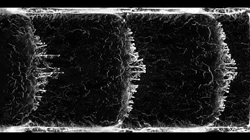 Physarum simulation no.9