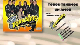 Video thumbnail of "Todos tenemos un amor (D.A.R.) -Tornados de la sierra"