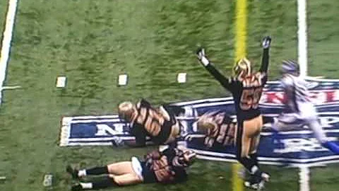 Brett Favre gets laid out by Bobby McCray