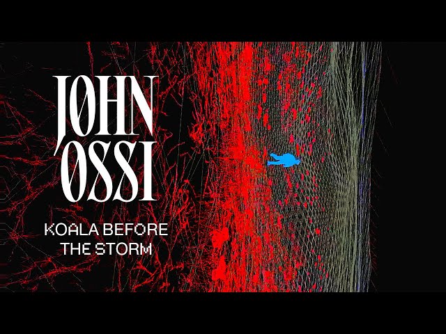 JOHNOSSI - KOALA BEFORE THE STORM