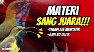 MASTERAN SOGON CER SEJALUR PANJANG TERAPI AIR DAN JEDA!! #sogon #sogongacor #sogokontonggacor