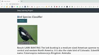 Bird Species Classification Using Deep Learning all