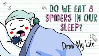 DO SLEEPING HUMANS SWALLOW 8 SPIDERS A YEAR? 🕷 | Draw My Life