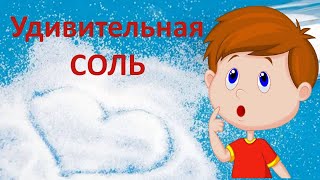 Открытое занятие в средней группе 