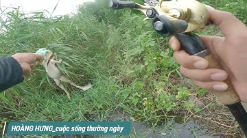 cuối tuần đi câu cá lóc khủng tại hàn quốc